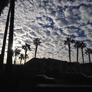 Meet your Posher, Senia